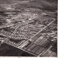 The Evolution of Business Associations in Broward County, FL: A History of Collaboration and Support